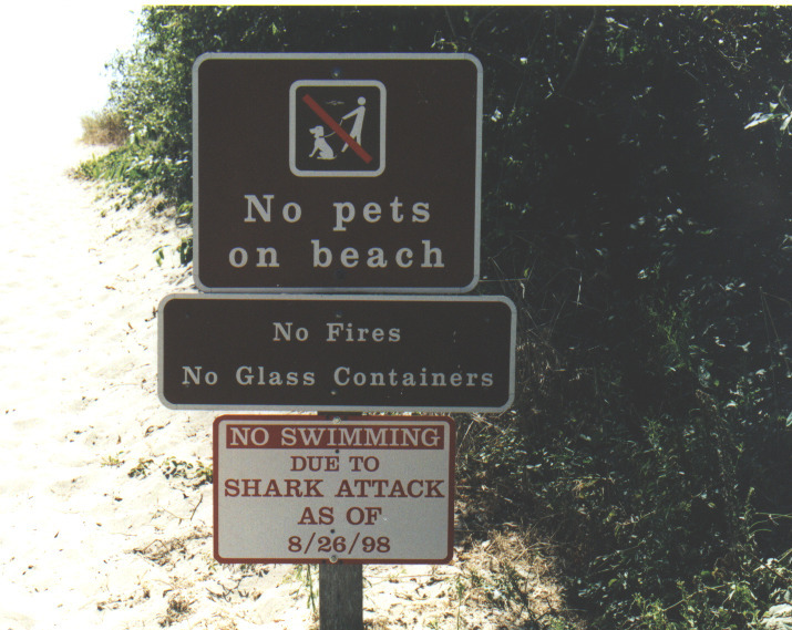 Warning at Stinson Beach