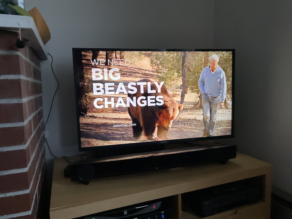 Newsom-Herausforderer John Cox posiert mit einem Grizzly-Bären.