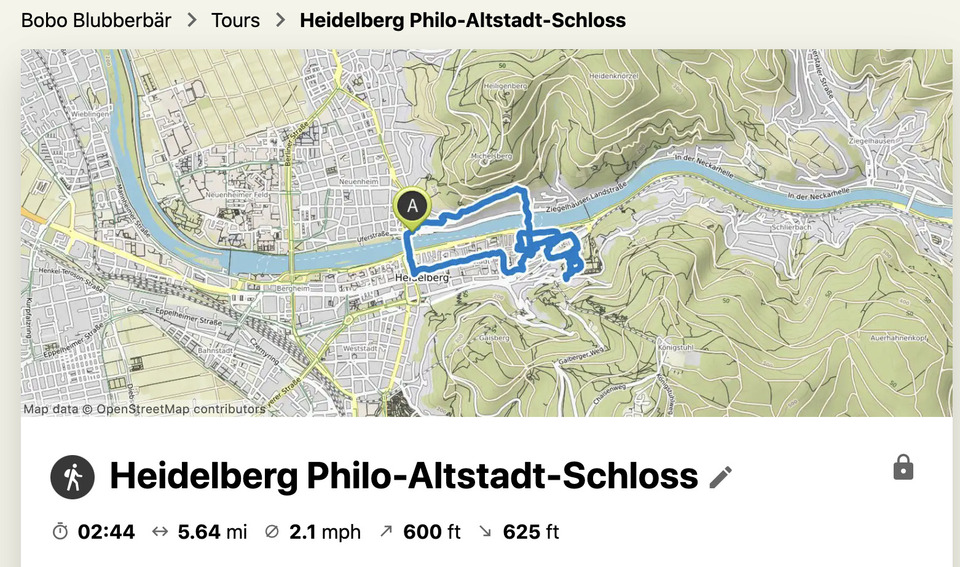 Eine mit Komoot aufgezeichnete Stadtwanderung in Heidelberg.
