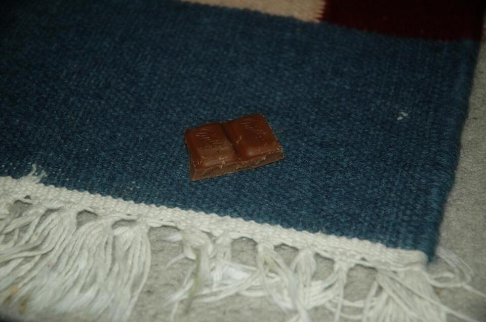 Chocolate that has fallen on the carpet - to eat or not?