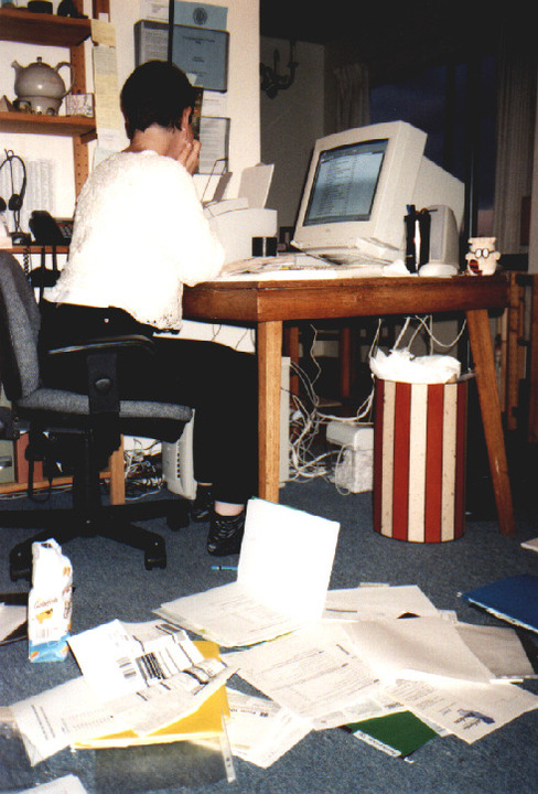 Angelika prepares the tax return for 1997.