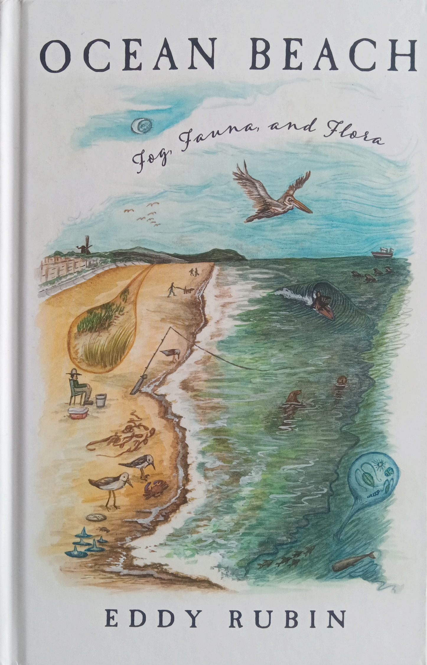 Das lesenswerte Buch "Ocean Beach" von Eddy Rubin